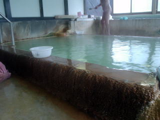 ���̐쉷�� ���̏o���y�����s���z