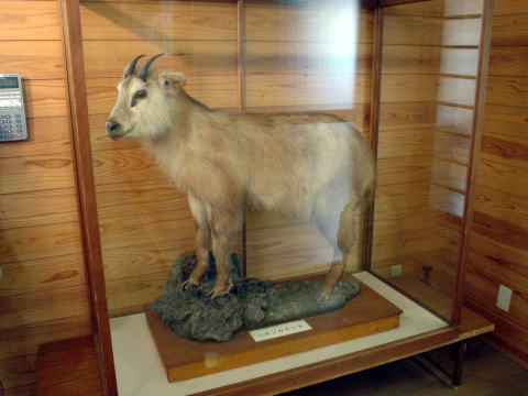 ������������ �����h�ɂ����������y�����s���z