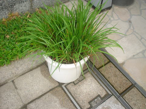 �S�։���@�S�ւނ����y�����s���z