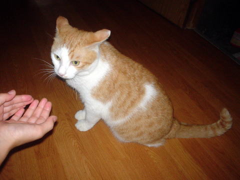 �啪���@�S�։���@��◷��