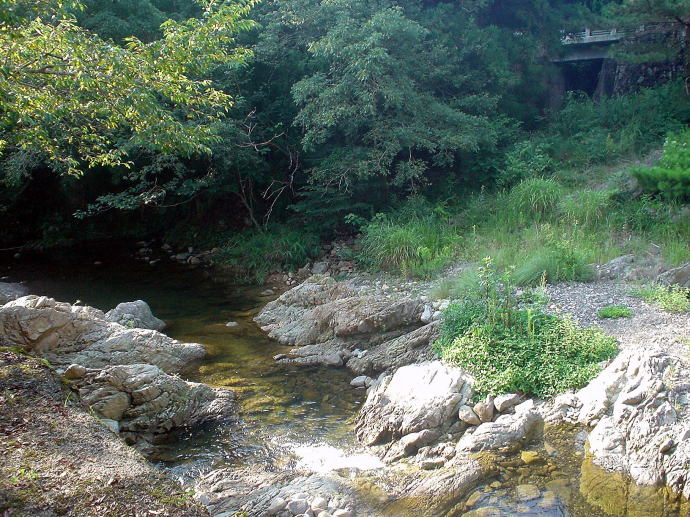 �����k�J����@tatuta�̐X�y�����s���z