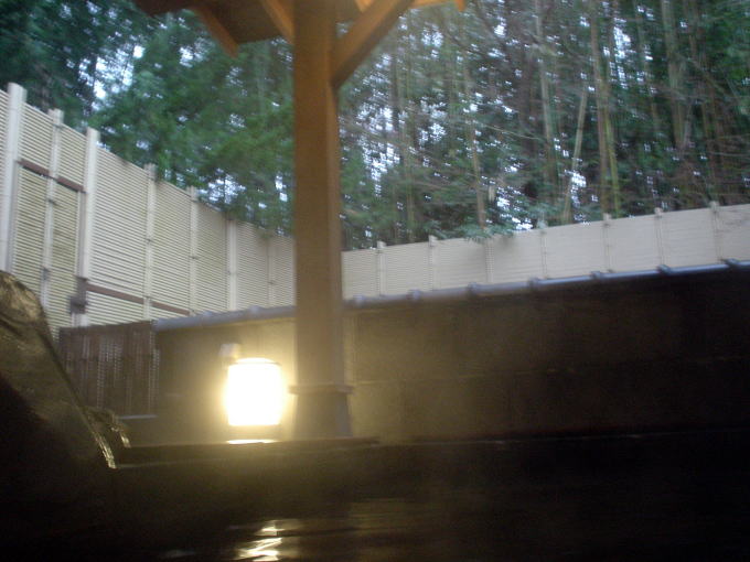 �����Ɖ���@�т�ΉԊX���y�����s���z