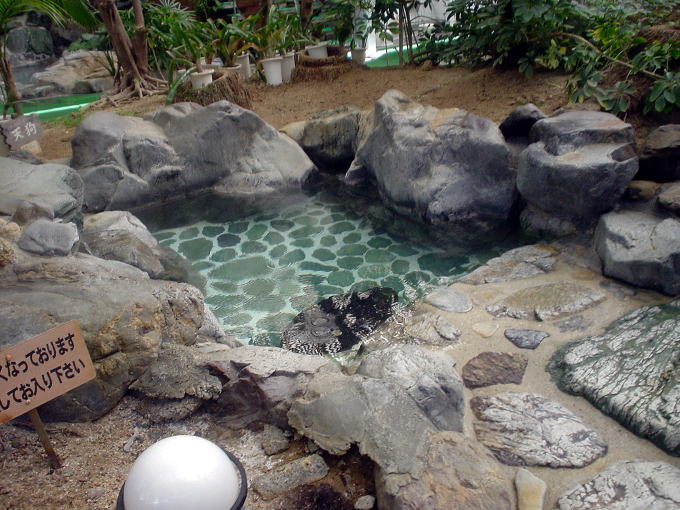 �����㉷��@�z�e��������y�����s���z