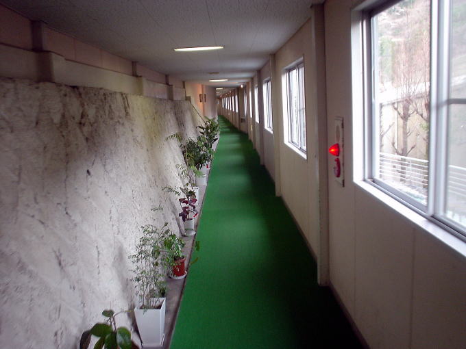 �����㉷��@�z�e��������y�����s���z