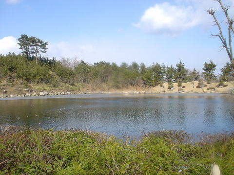 �M�y����@�������T���y�����s���z