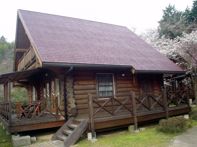 ��������y�����s���z