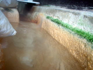 ���̐쉷�� ���̏o���y�����s���z