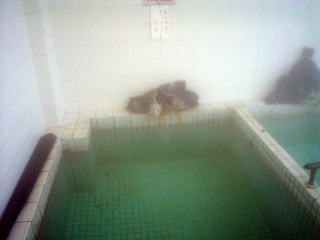 ���̐쉷��@�i����